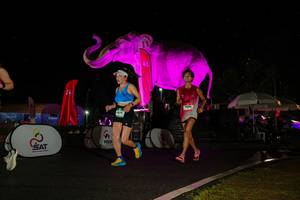 BIB: 
                            <button type="button" onclick="openModal(26543507)" class="btn btn-primary btn-sm float-right btn-popup" data-toggle="modal" data-target=".modal-high-quality">
                        <i class="fas fa-shopping-cart"></i> Add to Cart
                    </button>
                                            <button type="button" onclick="isThisMe(26543507, true)" class="btn btn-success btn-sm float-right btn-popup btn-isme hidden" data-toggle="tooltip" data-placement="bottom" title="นี่คือรูปของคุณใช่ไหม คลิกที่นี่เพื่อเอาเข้าอัลบั้ม">
                        <i class="fas fa-plus"></i> Add to album
                    </button>
                    <button type="button" onclick="isThisMe(26543507, false)" class="btn btn-warning btn-sm float-right btn-popup btn-isnotme hidden">
                        <i class="fas fa-ban"></i> Remove from album
                    </button>